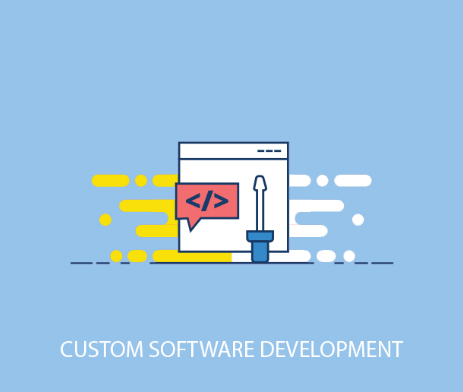 custom software